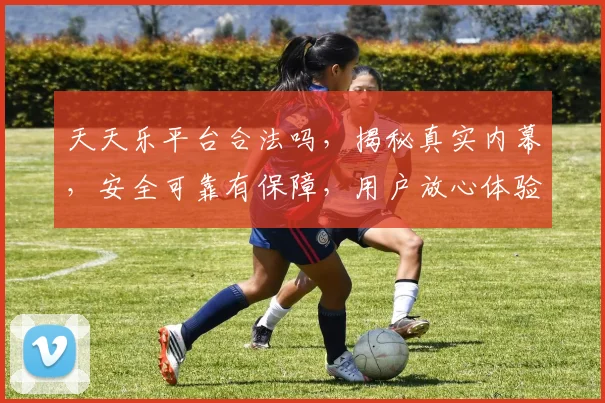 天天乐平台合法吗，揭秘真实内幕，安全可靠有保障，用户放心体验三重保障
