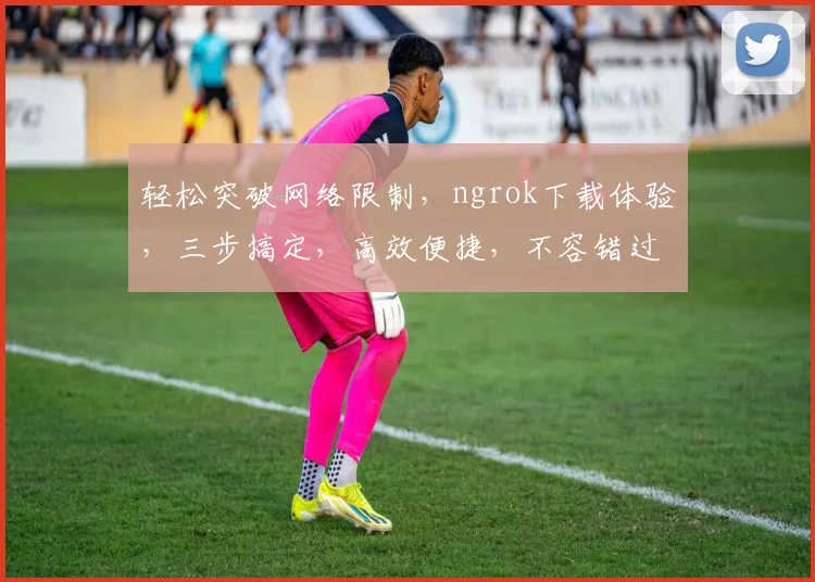 轻松突破网络限制，ngrok下载体验，三步搞定，高效便捷，不容错过