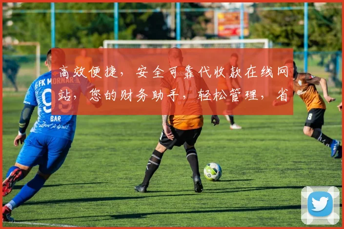 高效便捷，安全可靠代收款在线网站，您的财务助手，轻松管理，省时省心，三步搞定