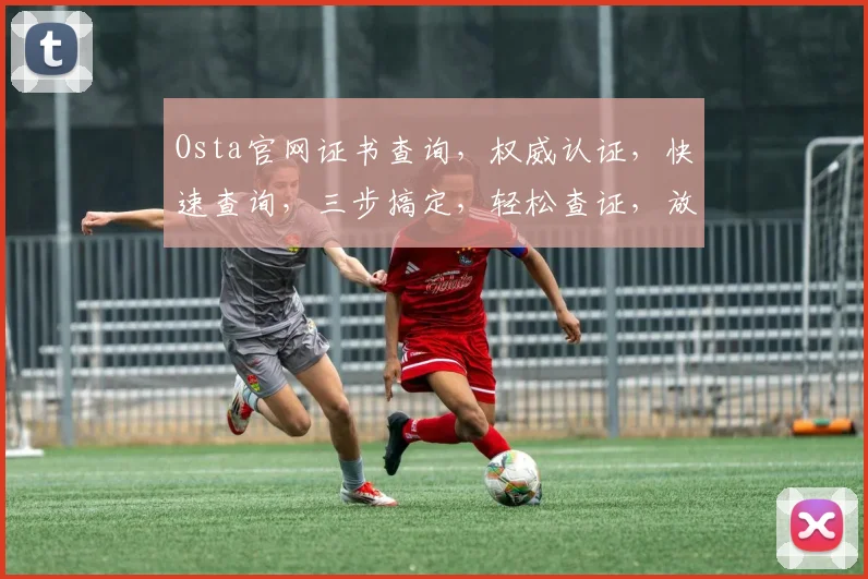 Osta官网证书查询，权威认证，快速查询，三步搞定，轻松查证，放心使用