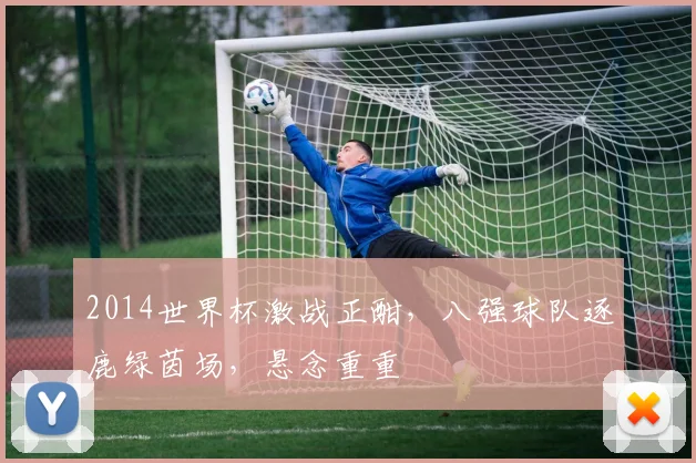 2014世界杯激战正酣，八强球队逐鹿绿茵场，悬念重重